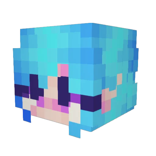 Sonderfiable Minecraft avatar head, 3D render