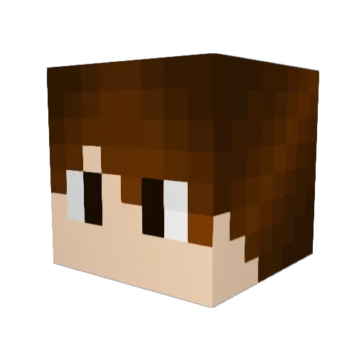 SondreMinez Minecraft avatar head, 3D render