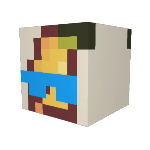 Sondrin9 Minecraft avatar head, 3D render
