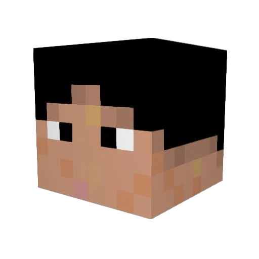 Sonebou Minecraft avatar head, 3D render