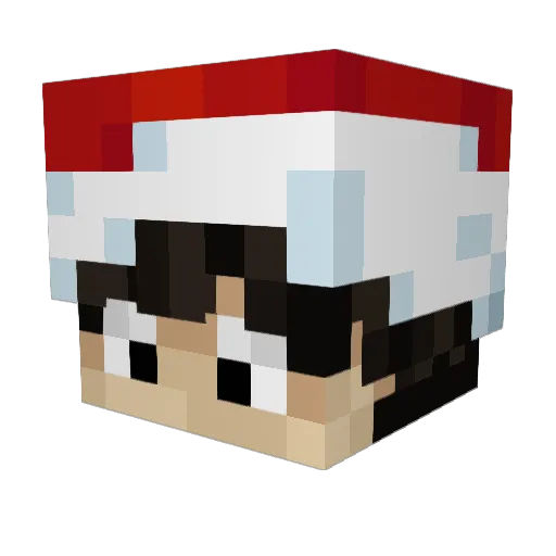 Sonellis Minecraft avatar head, 3D render