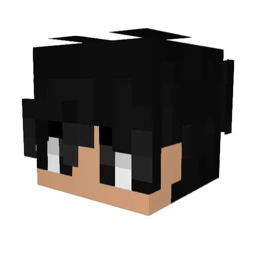 Sonetos Minecraft avatar head, 3D render