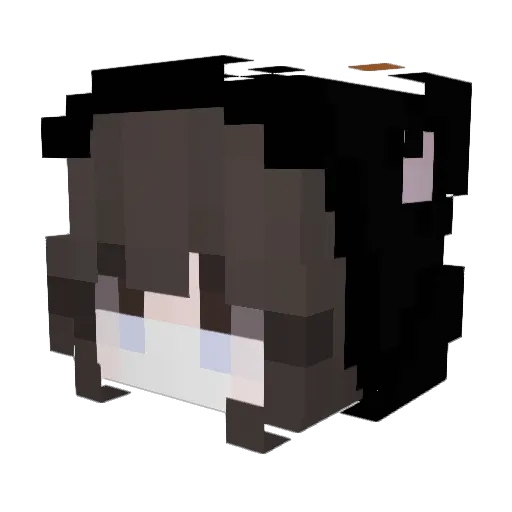 SongTY0 Minecraft avatar head, 3D render