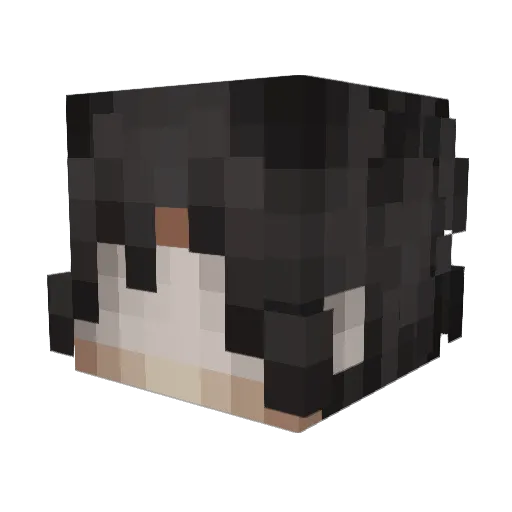 Songoha Minecraft avatar head, 3D render
