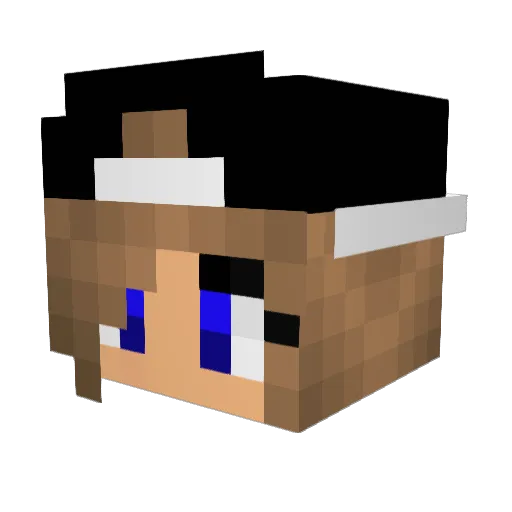 SoniaBrain Minecraft avatar head, 3D render