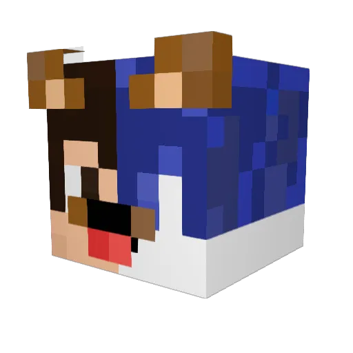 Sonic0400 Minecraft avatar head, 3D render