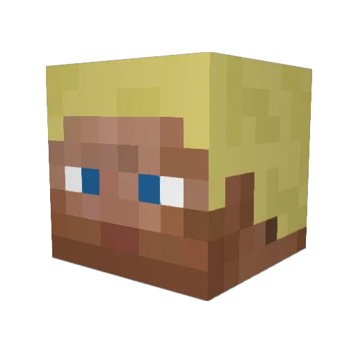 Sonic1605 Minecraft avatar head, 3D render