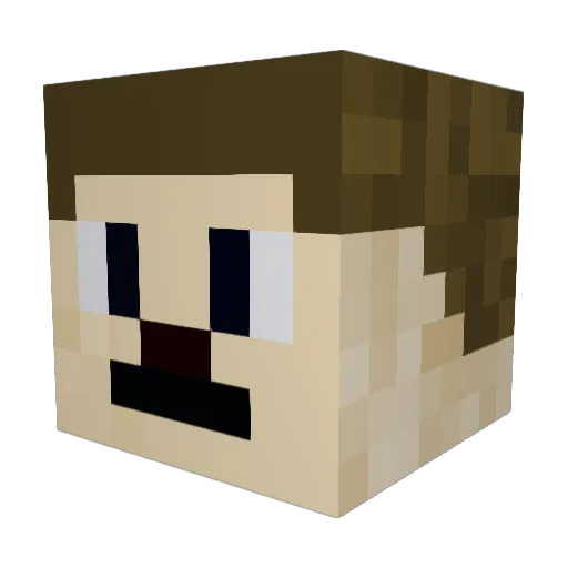Sonic24_09 Minecraft avatar head, 3D render