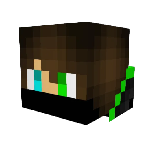 Sonic3DS Minecraft avatar head, 3D render