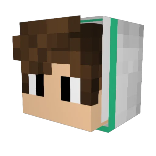 Sonic4145 Minecraft avatar head, 3D render