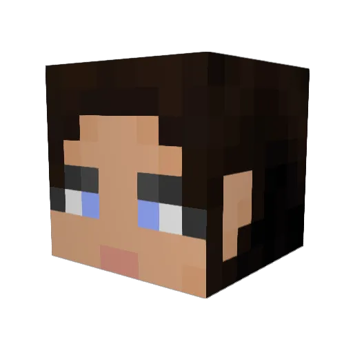 Sonic4Ever Minecraft avatar head, 3D render