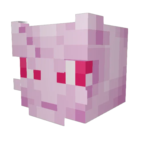 Sonic84653 Minecraft avatar head, 3D render