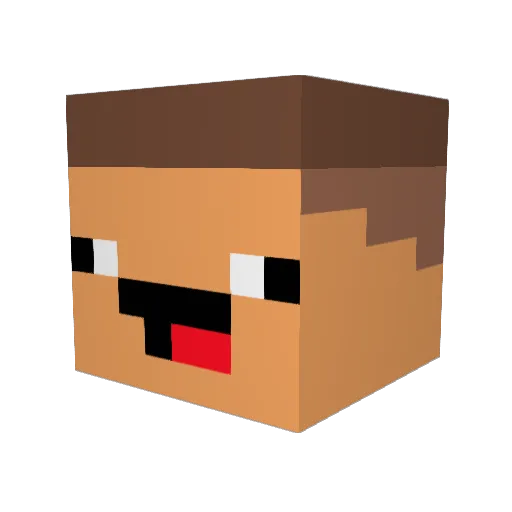 SonicBOOM1903 Minecraft avatar head, 3D render