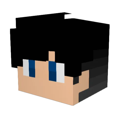 SonicDashy Minecraft avatar head, 3D render