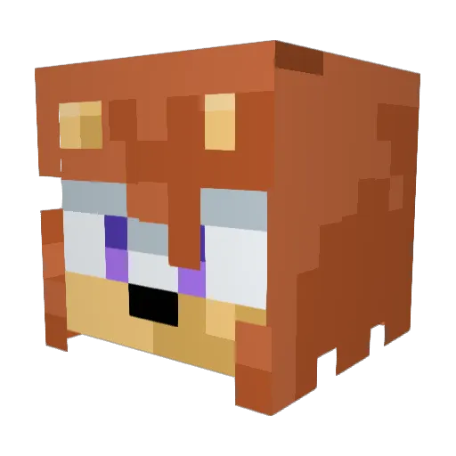 SonicDeuce995 Minecraft avatar head, 3D render
