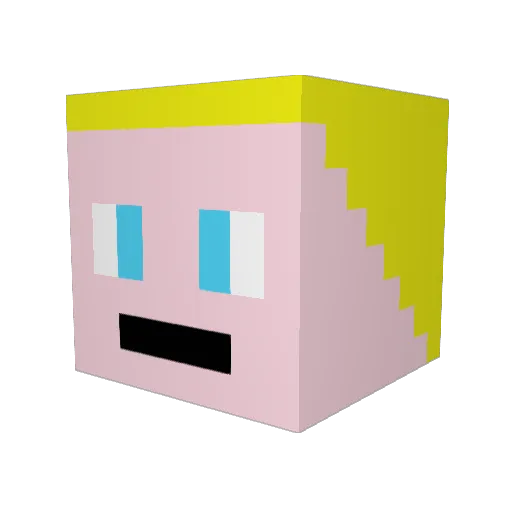 SonicFish97 Minecraft avatar head, 3D render