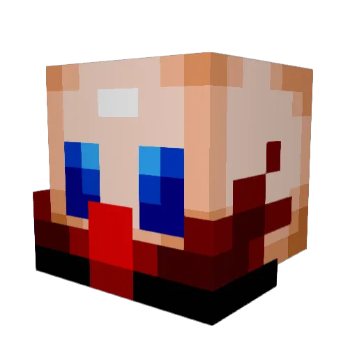 SonicGuy1020 Minecraft avatar head, 3D render