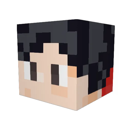 SonicIDK Minecraft avatar head, 3D render