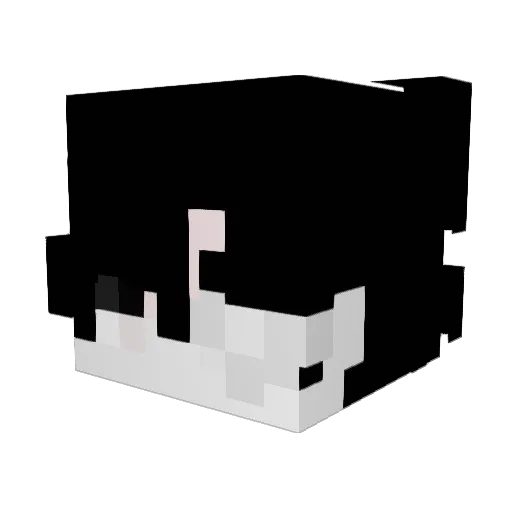 SonicJew Minecraft avatar head, 3D render