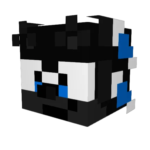 SonicMF Minecraft avatar head, 3D render