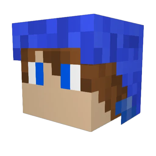 SonicMaker101 Minecraft avatar head, 3D render