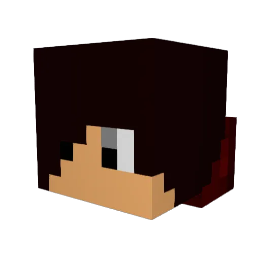 SonicMurch Minecraft avatar head, 3D render
