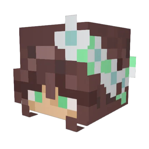 SonicNerd37 Minecraft avatar head, 3D render