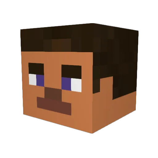 SonicNet Minecraft avatar head, 3D render