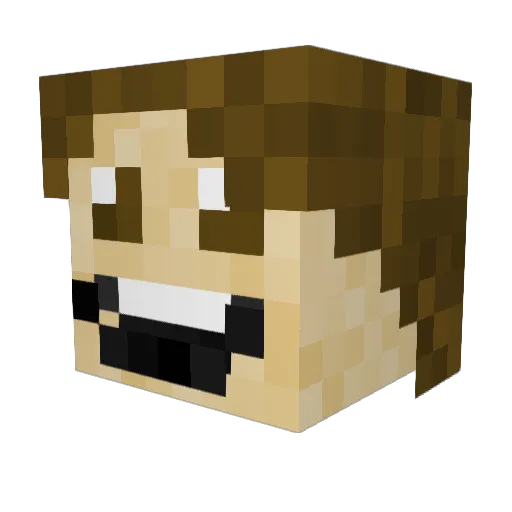 SonicPV8 Minecraft avatar head, 3D render