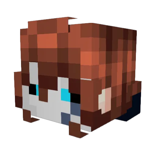 SonicPython Minecraft avatar head, 3D render