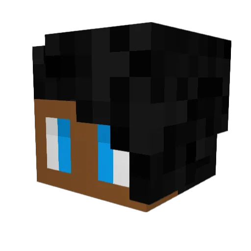 SonicRanger Minecraft avatar head, 3D render