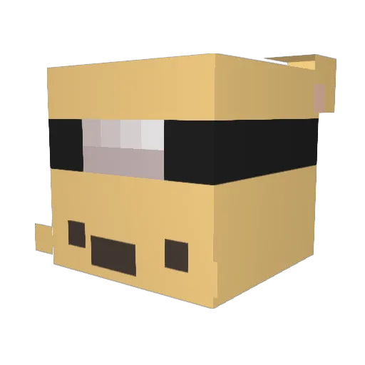SonicSpeed600 Minecraft avatar head, 3D render