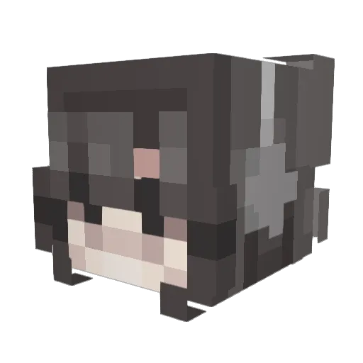 SonicSpeed690 Minecraft avatar head, 3D render