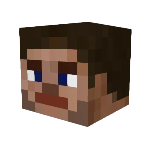 SonicTaiyaki Minecraft avatar head, 3D render