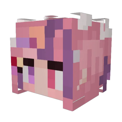 SonicWizardPal Minecraft avatar head, 3D render