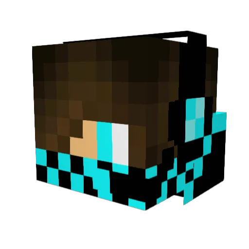 Sonic_11 Minecraft avatar head, 3D render