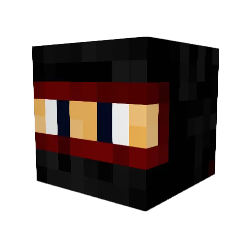 Sonicblaster971 Minecraft avatar head, 3D render