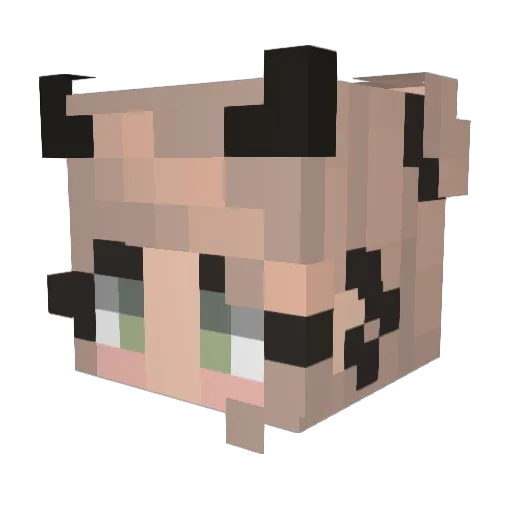 Sonicbow27 Minecraft avatar head, 3D render
