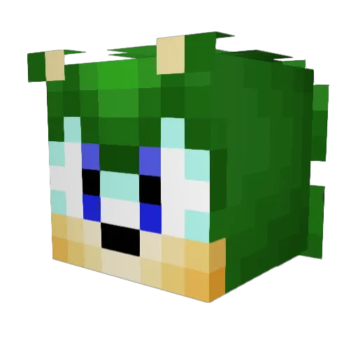 Soniccrafteur Minecraft avatar head, 3D render