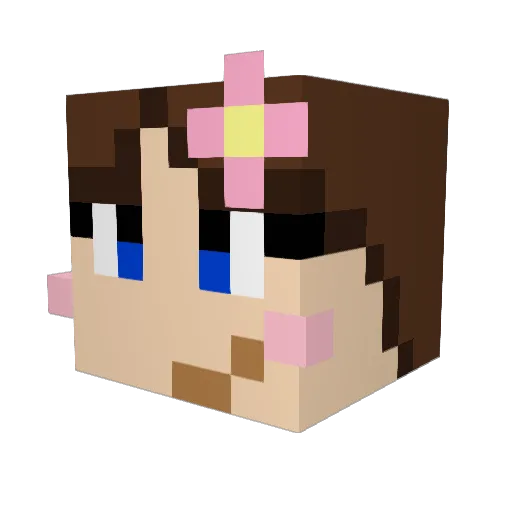 Sonicfan2007 Minecraft avatar head, 3D render