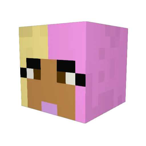 Sonichka Minecraft avatar head, 3D render