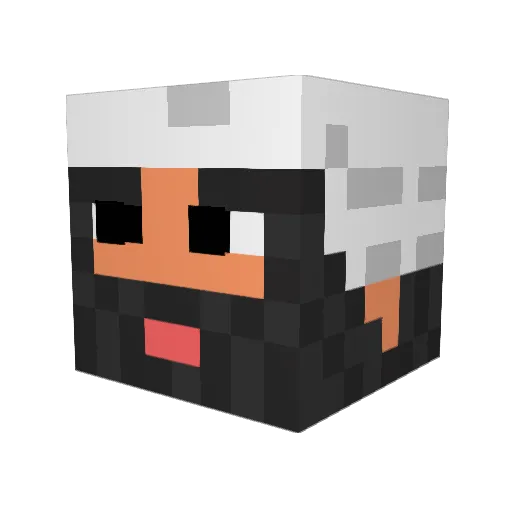 Sonicles13 Minecraft avatar head, 3D render