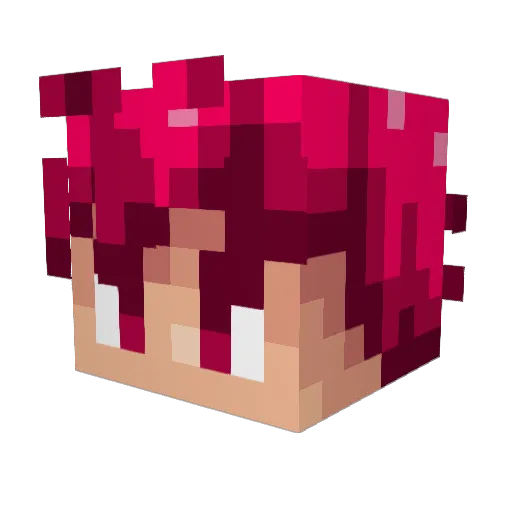 Sonicmaster172 Minecraft avatar head, 3D render
