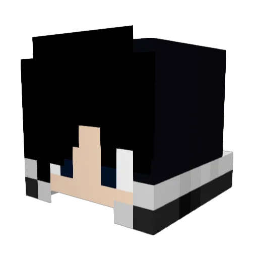 Sonicool411 Minecraft avatar head, 3D render