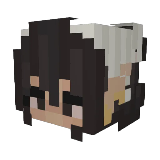 Sonicrum Minecraft avatar head, 3D render