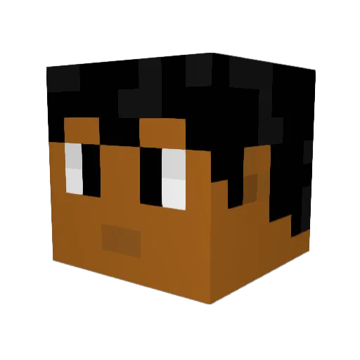 Sonicswag4 Minecraft avatar head, 3D render