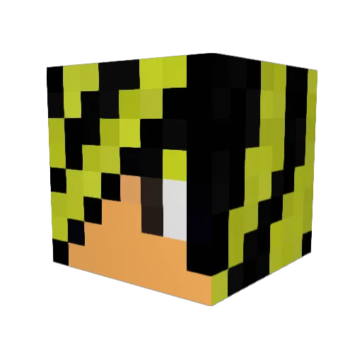Sonicwind Minecraft avatar head, 3D render