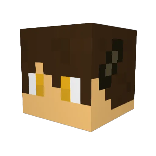 Sonicx2011 Minecraft avatar head, 3D render
