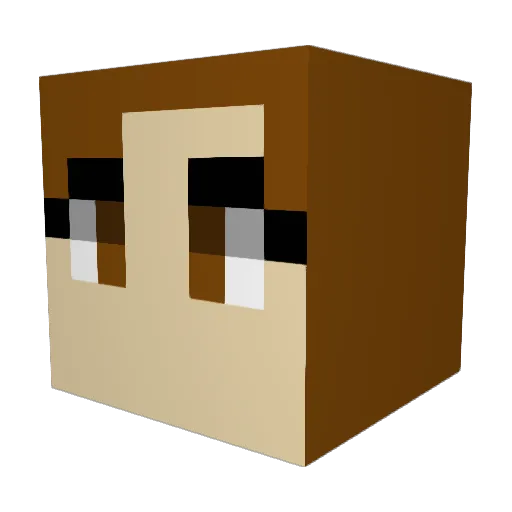 Sonicx3meow Minecraft avatar head, 3D render