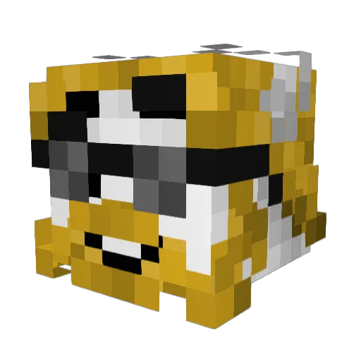 Sonicxh_X Minecraft avatar head, 3D render